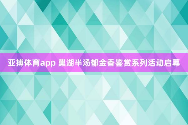亚搏体育app 巢湖半汤郁金香鉴赏系列活动启幕