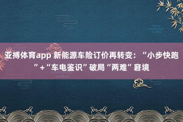 亚搏体育app 新能源车险订价再转变：“小步快跑”+“车电鉴识”破局“两难”窘境