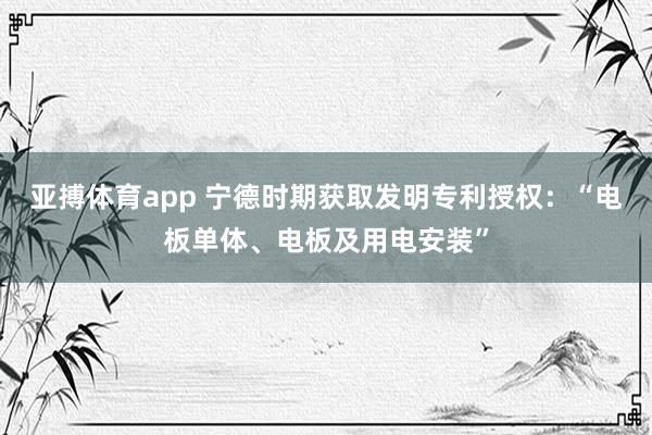 亚搏体育app 宁德时期获取发明专利授权：“电板单体、电板及用电安装”