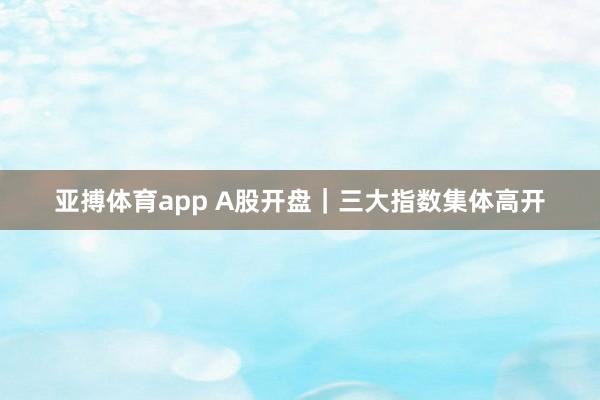 亚搏体育app A股开盘｜三大指数集体高开