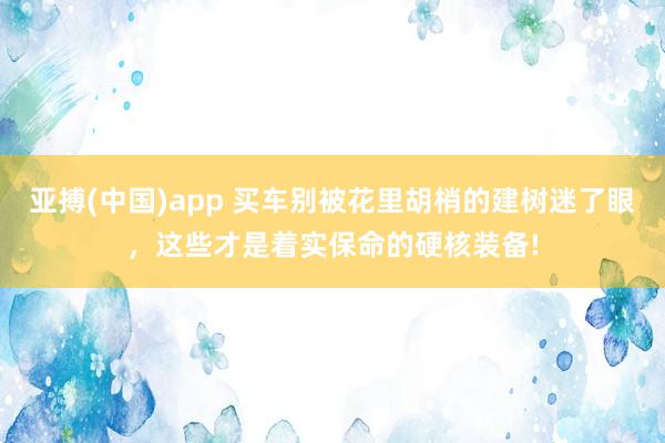 亚搏(中国)app 买车别被花里胡梢的建树迷了眼，这些才是着实保命的硬核装备!