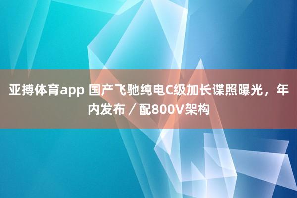 亚搏体育app 国产飞驰纯电C级加长谍照曝光，年内发布／配800V架构