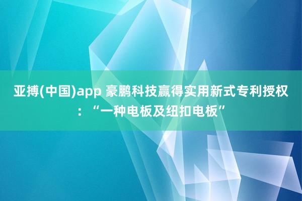 亚搏(中国)app 豪鹏科技赢得实用新式专利授权：“一种电板及纽扣电板”