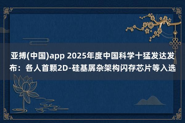 亚搏(中国)app 2025年度中国科学十猛发达发布：各人首颗2D-硅基羼杂架构闪存芯片等入选