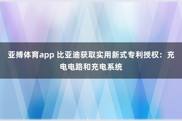 亚搏体育app 比亚迪获取实用新式专利授权：充电电路和充电系统