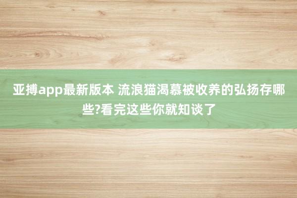 亚搏app最新版本 流浪猫渴慕被收养的弘扬存哪些?看完这些你就知谈了