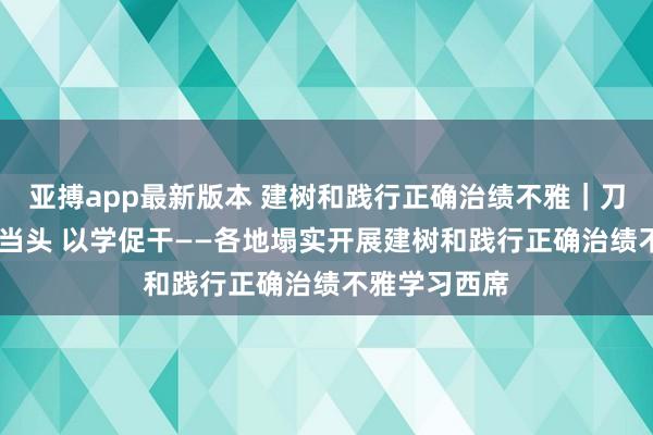 亚搏app最新版本 建树和践行正确治绩不雅｜刀刃向内 实字当头 以学促干——各地塌实开展建树和践行正确治绩不雅学习西席
