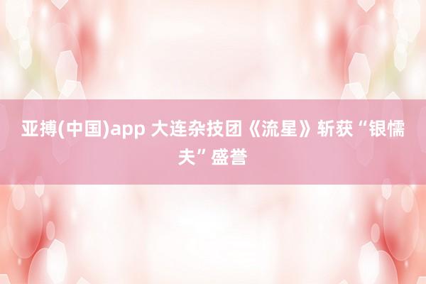亚搏(中国)app 大连杂技团《流星》斩获“银懦夫”盛誉