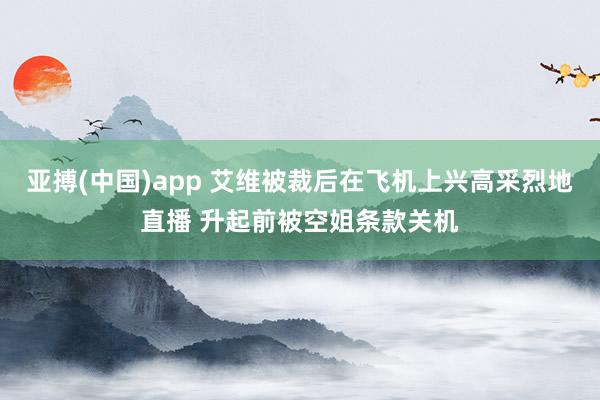 亚搏(中国)app 艾维被裁后在飞机上兴高采烈地直播 升起前被空姐条款关机