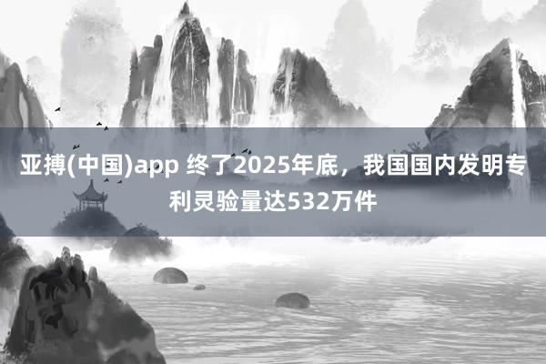 亚搏(中国)app 终了2025年底，我国国内发明专利灵验量达532万件